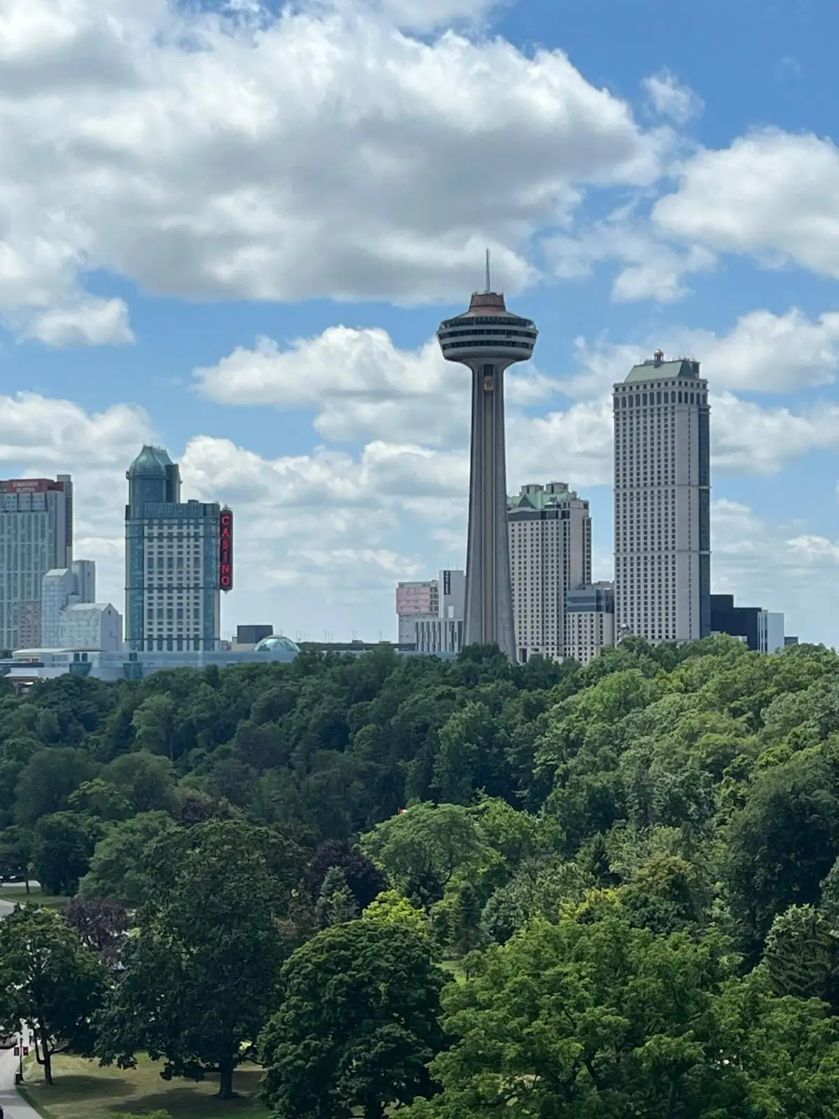 Niagara Falls panoramic view with mist rising
